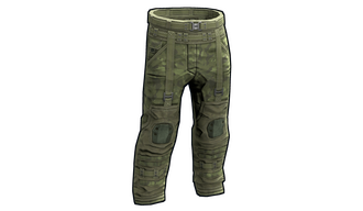 Forest Raiders Pants