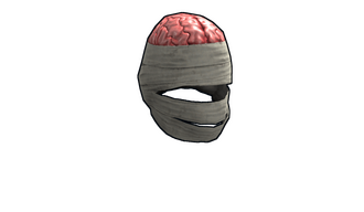 Wrapped Brain