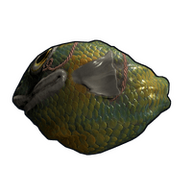 Fish Rock