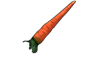 Carrot Knife