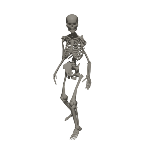 Skeleton - Steam Community Market