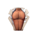 胸毛怪兽
