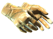 Moto Gloves | Transport (Field-Tested) - Counter-Strike 2 - Skinport