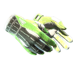 ★ Sport Gloves | Hedge Maze (Minimal Wear)
