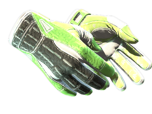 Sport Gloves
