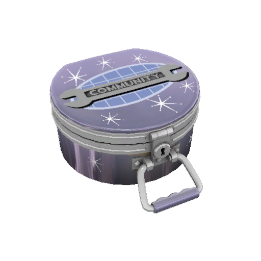 Rainy Day Cosmetic Case