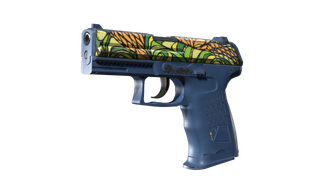 P2000 | Corticera