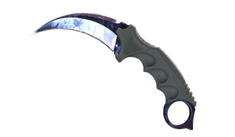★ StatTrak™ Karambit | Doppler (Factory New)