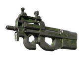 P90 - Буйная растительность - 168x120