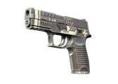 P250 - Ре.конструкция - 168x120