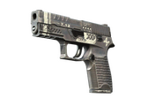 P250 - Ре.конструкция - 168x120