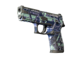 P250 - Цифровой архитектор - 160x114