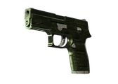 P250 - Железное покрытие - 168x120