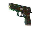 P250 - Видения - 160x114