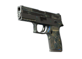 P250 - Обменник - 168x120