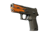 P250 - Пятно - 168x120