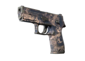 P250 - Безводье - 160x114