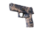 P250 - Безводье - 168x120