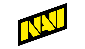 Natus Vincere Team Sticker - TI 2025