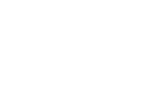 Team Spirit Team Sticker - TI 2025