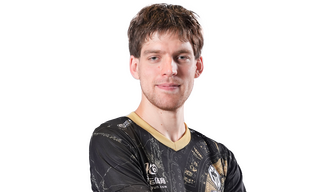 Gold Seleri Player Sticker - TI 2023